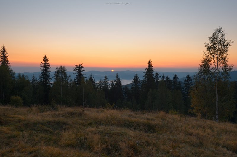 рассвет, карпаты, лес, природа, горы, осень Встречая рассветphoto preview