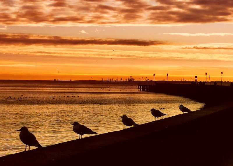 Social distancingphoto preview