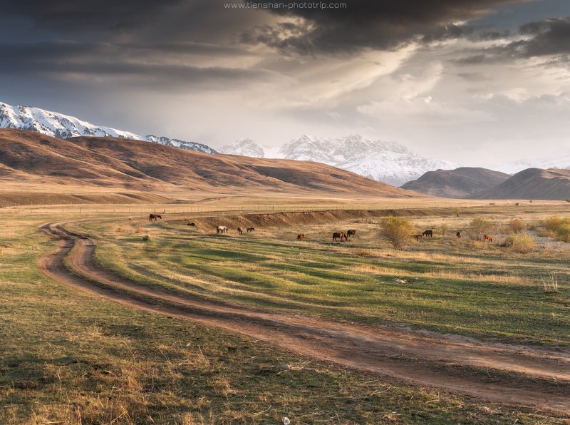 казахстан, тянь-шань, фото казахстана, пейзажи казахстана, осень, текес, Предместье реки Текесphoto preview