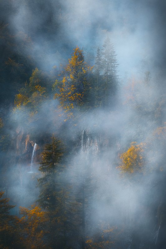 plitvice, lakes, croatia, landscape, autumn, mist, fog, tree, forest,  plitvice lakesphoto preview