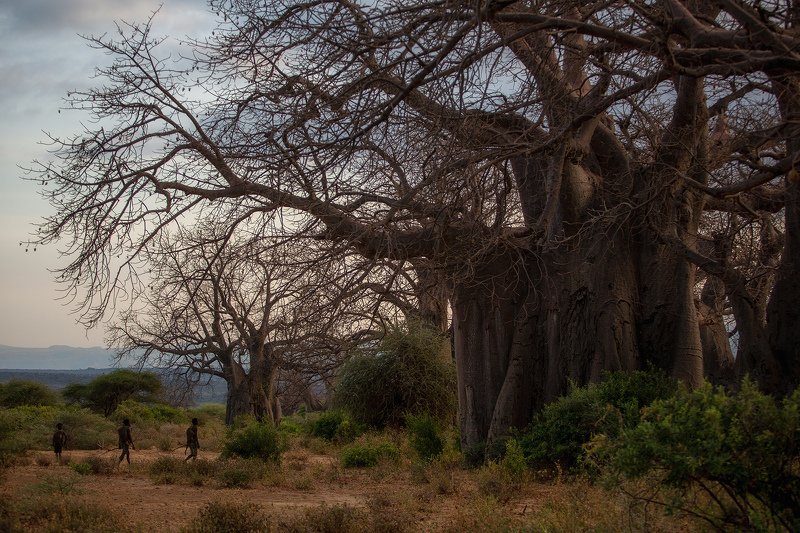 На охотуphoto preview