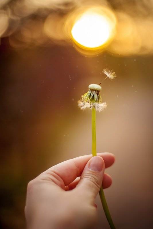 навстречу закатуphoto preview