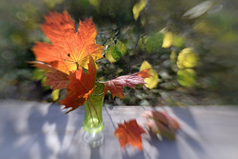 Солнечные брызги октябряphoto preview