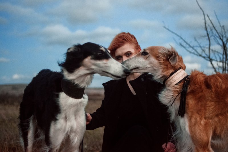 волкогонphoto preview