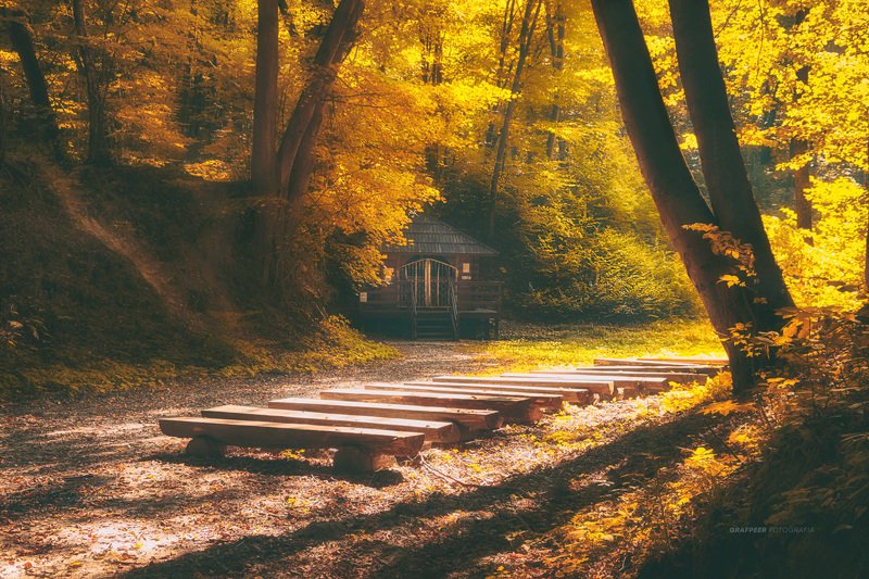 autumn, autumntime, autumnforest, autumnleaves, woodenchapel autumn time...photo preview