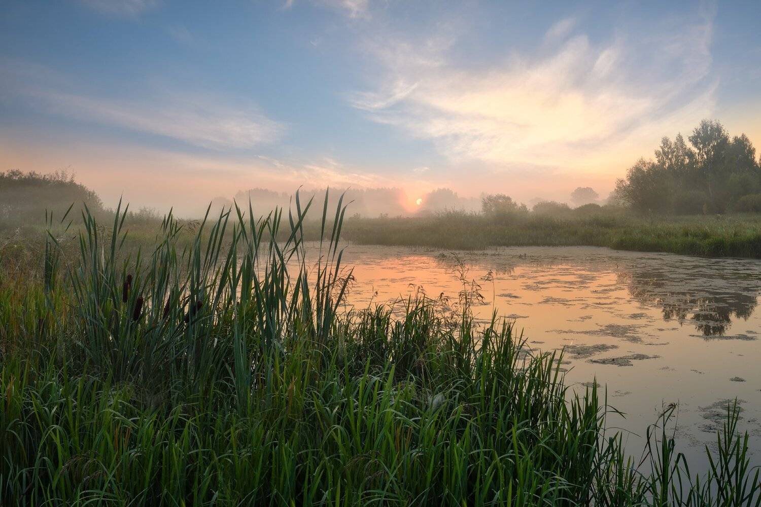рассвет. Автор: Виталий Полуэктов утро,рассвет,туман,река,небо,облака,солнце, Виталий Полуэктов