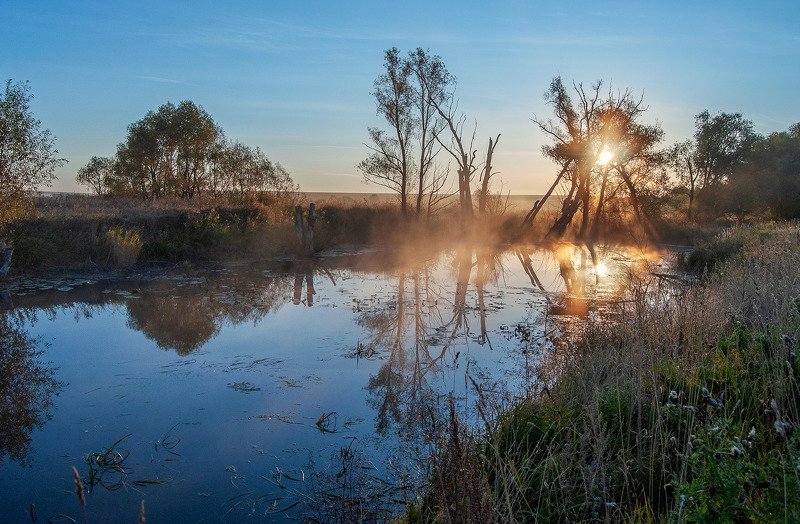 утро, рассвет, лето, солнце, осень, туман, река, дерево ***photo preview