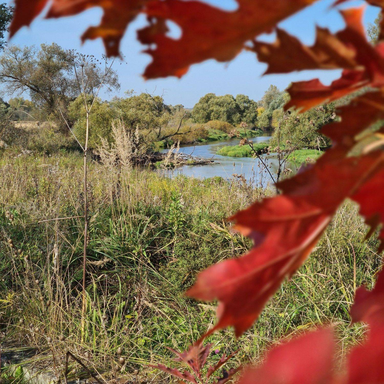 Istra river. Автор: Юлия Болдинова , Юлия Болдинова