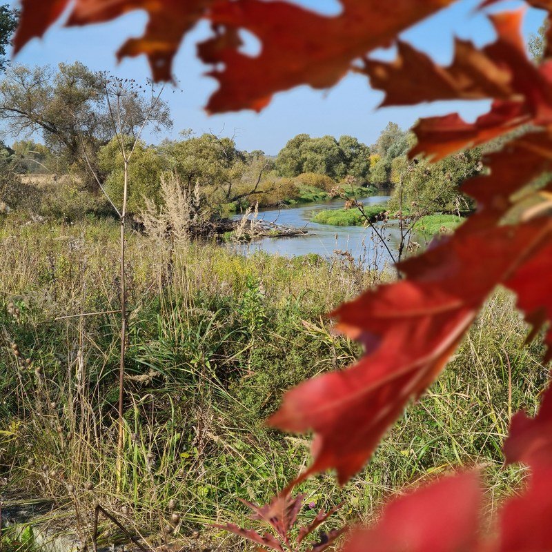 Istra riverphoto preview