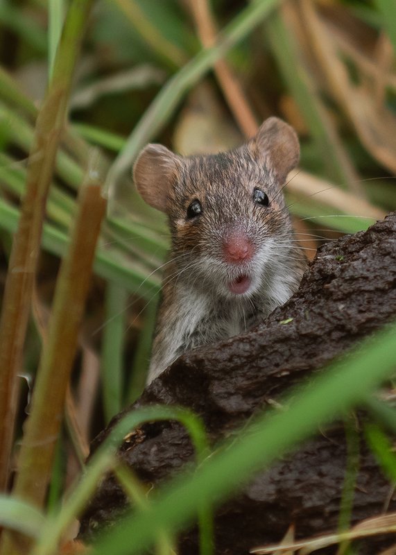 Не может быть...photo preview