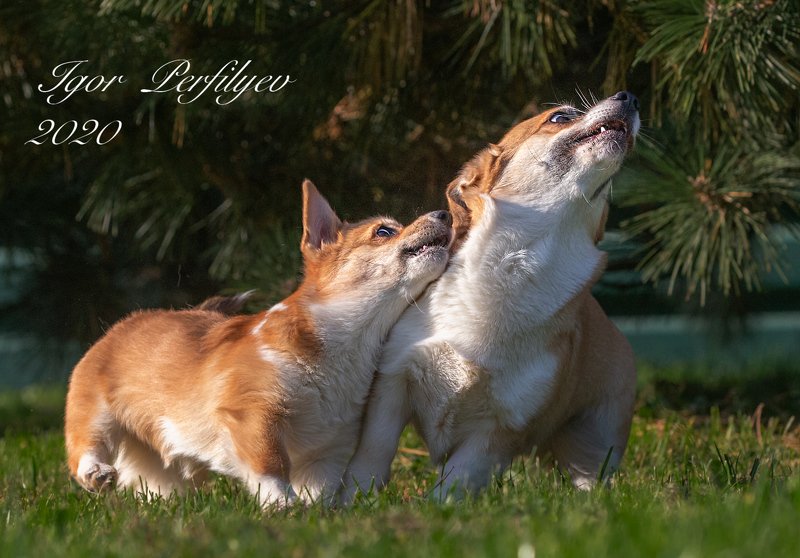 Про страшноеphoto preview