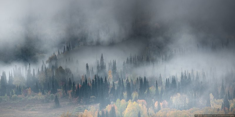 горнаяколывань, осеньнаалтае, алтай2020 Чернь - сибирский дождевой тропический лесphoto preview