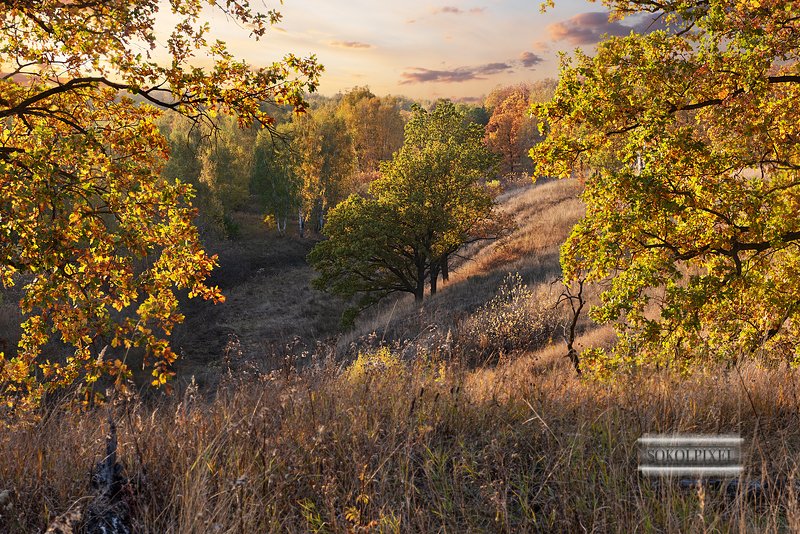 Осенние красотыphoto preview