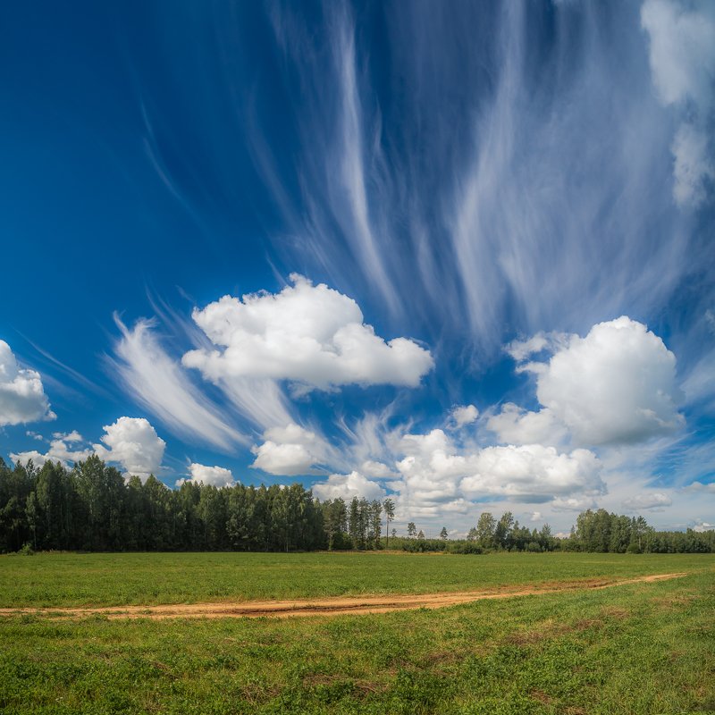 облака, природа, пейзаж, лето, поле, трава, дорога, тепло, август, лес, дерево, ель Облакаphoto preview