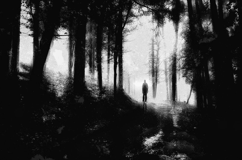 forest, man, trees, silhouette, loneliness, road, sadness, Black and white, лес, человек, деревья, силуэт, одиночество, дорога, грусть, Черное и белое Loneliest Road That I Knowphoto preview