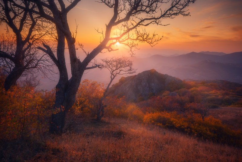 Autumn Harmonyphoto preview