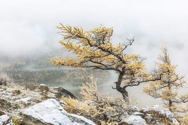 алтай Осенне-зимний Алтай в конце сентябряphoto preview