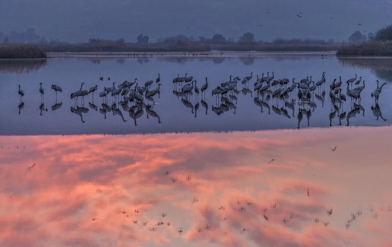 Between Heaven & Earthphoto preview