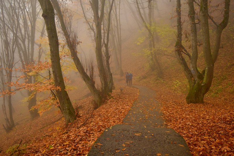 Осень золотаяphoto preview