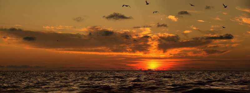 сочи, закат, море, облака, чайки Осенние закаты в Сочиphoto preview