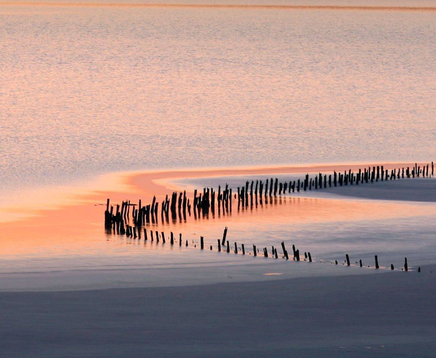 , Андрей Гусаченко