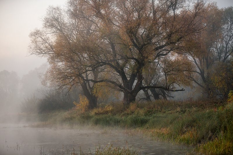 В осеннее утроphoto preview