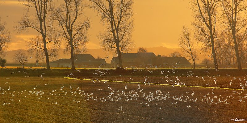 франция,mont saint-michel,france Вечер........photo preview
