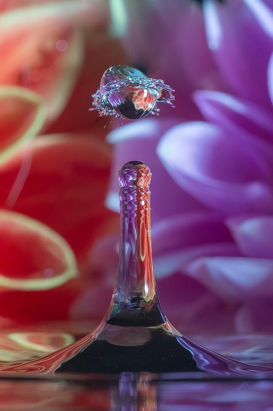 капля ,макро, photo preview