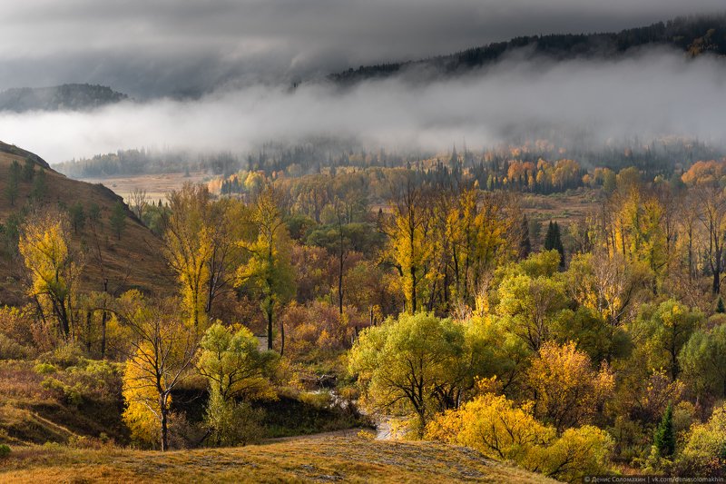 горнаяколывань, осеньнаалтае, алтай2020 Долина реки Каменкиphoto preview