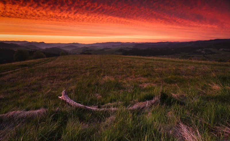 #landscape, #panoramic, #photo, #nikon, #poland, #adventure, #sunrise, #mountains, , #nature, #travel, #slovakia Sky On Firephoto preview