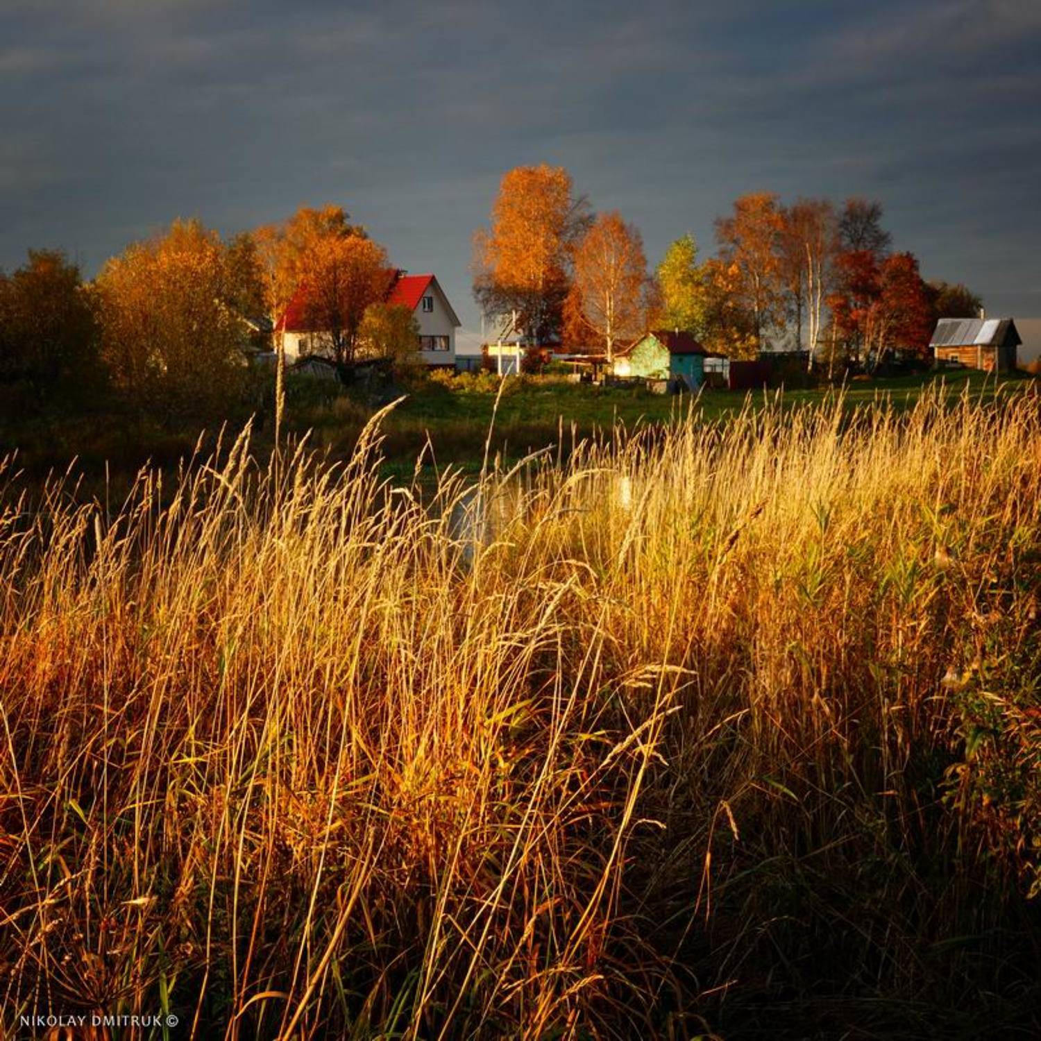 северная деревня Ширша - закат. 01.10.2020 #bike. Автор: николай дмитрук пейзаж, николай дмитрук