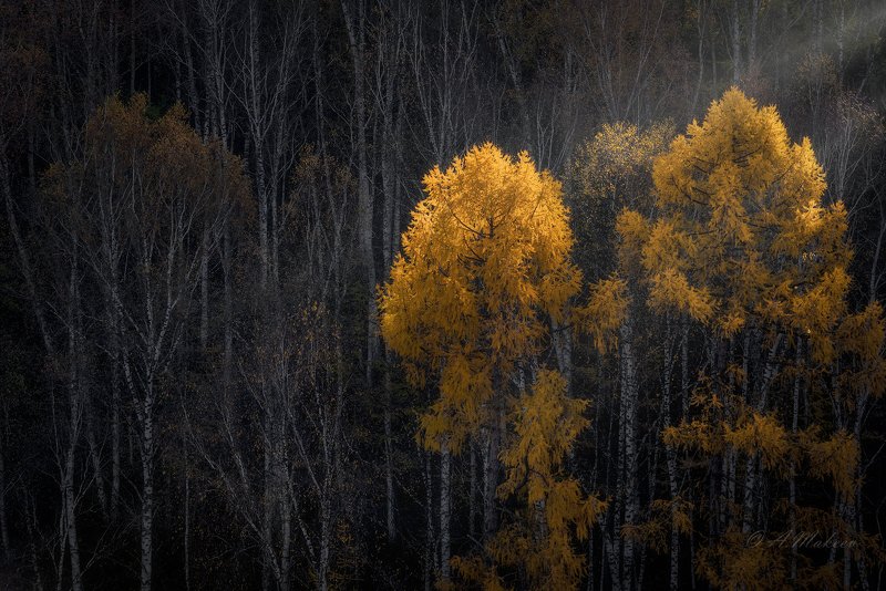 сибирь, хакасия, осень ***photo preview