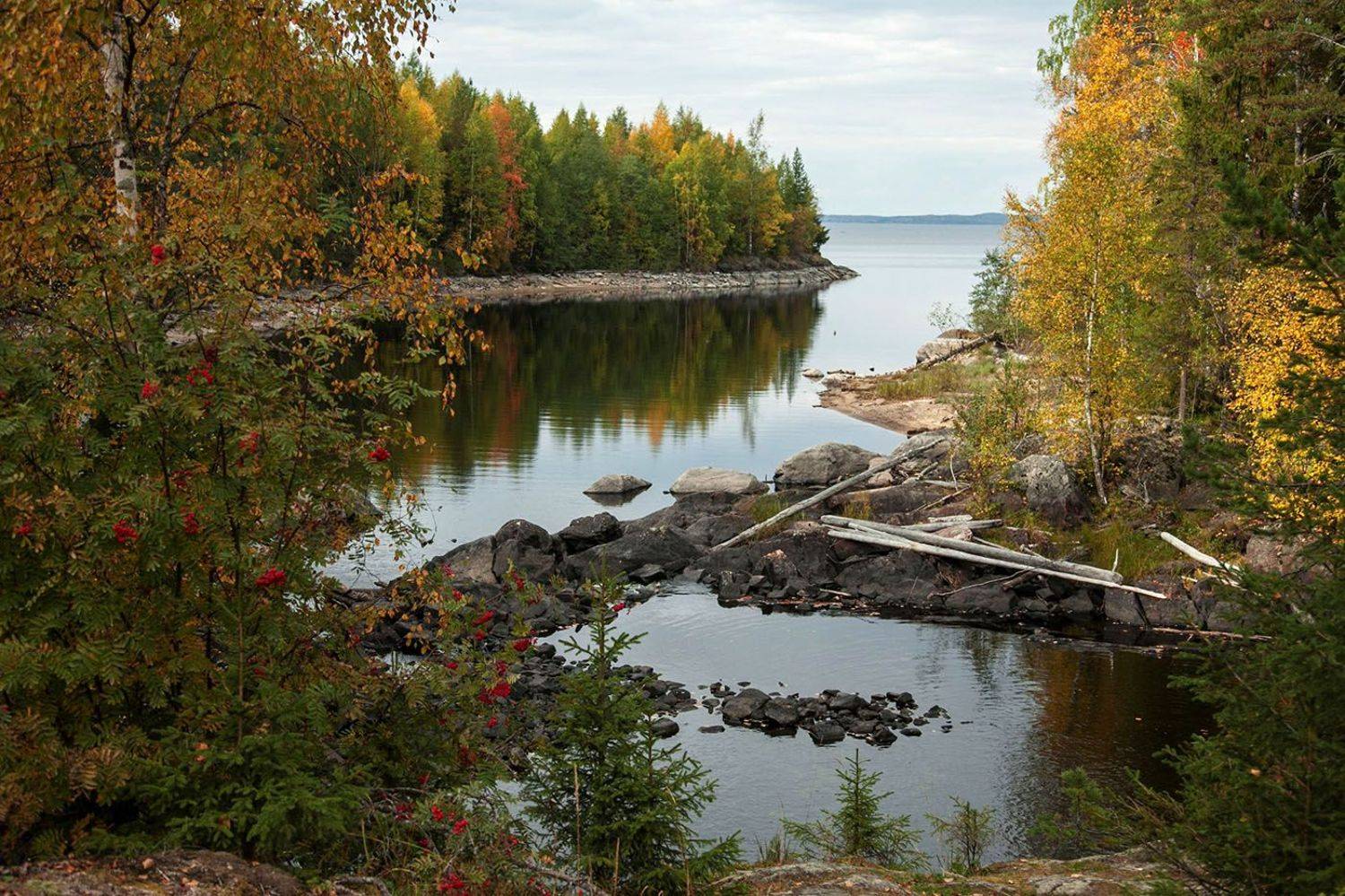 Осенняя Карелия. Автор: Юлия Стукалова осень,пейзаж,север,красота,краски,природа,nature,autumn,north,color,landscape,beautiful, Юлия Стукалова