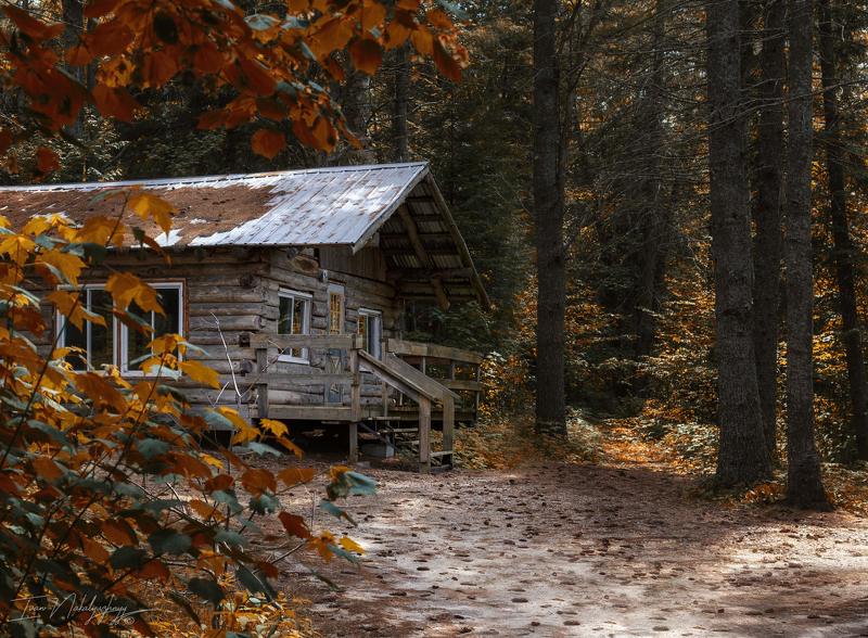 лес хижина природа отдых озеро осень тепло бабье лето Хижина лесная.photo preview