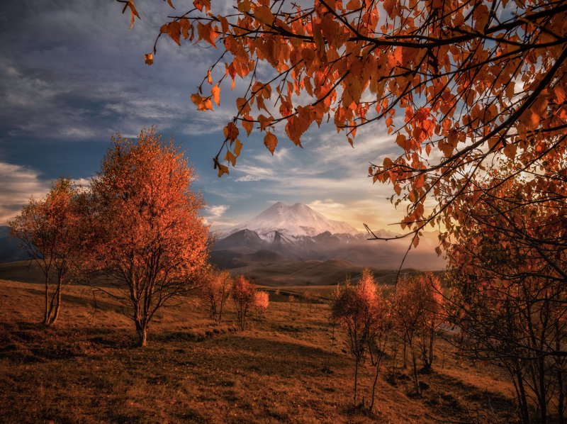 кавказ, приэльбрусье Золотая осень в Приэльбрусье. фото превью