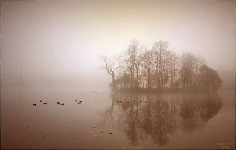 питер, туман, пушкин, пруд, утки, пейзаж, призраки, остров Призрачный пейзажphoto preview
