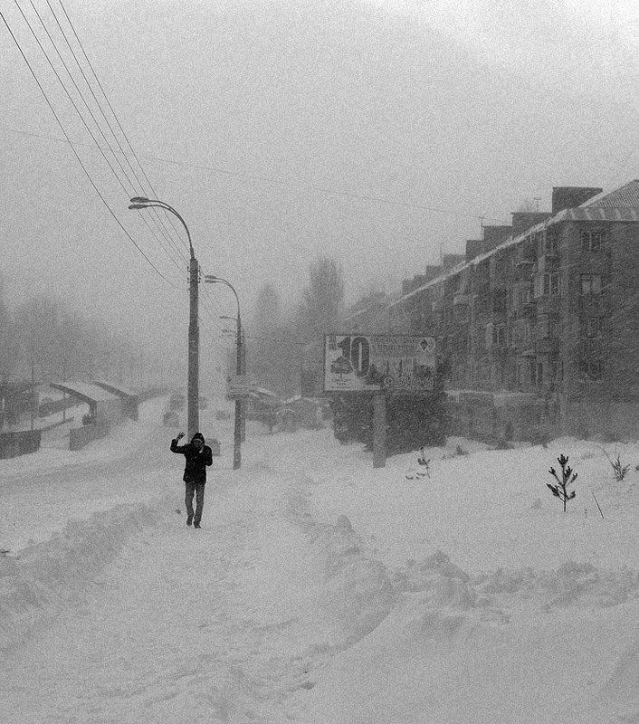 Акуна мататаphoto preview