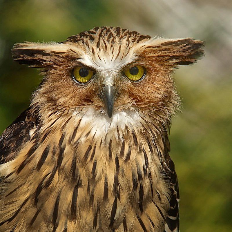 а мы знакомы?photo preview