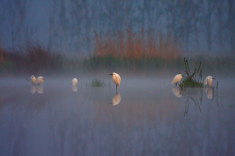 Туман...photo preview