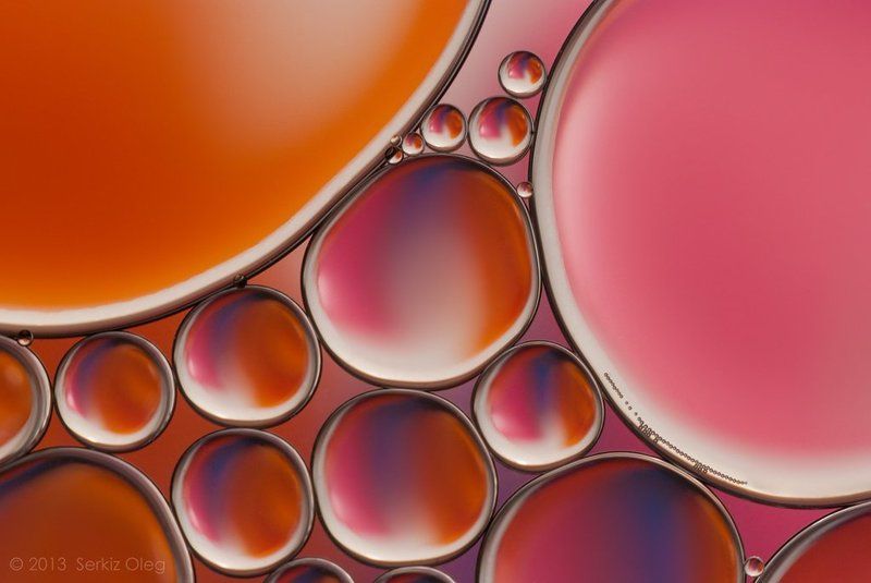 oil, water, macro, bubbles, abstract, art, oleg serkiz, вода, масло, Oil and Waterphoto preview