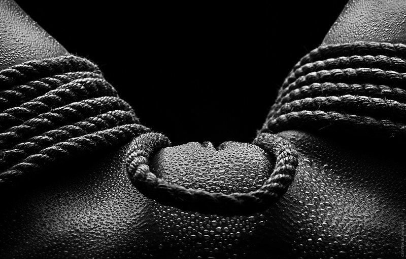 Петля-ловушкаphoto preview