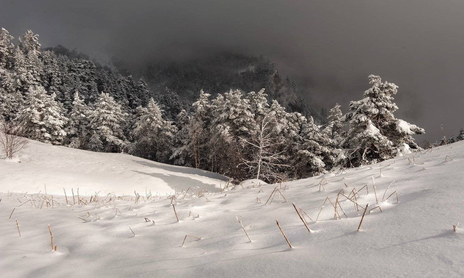 МАРТОВСКАЯ ЗАРИСОВКА. Автор: ФЁДОР , ФЁДОР