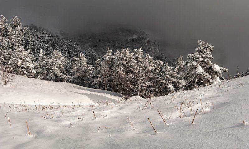 МАРТОВСКАЯ ЗАРИСОВКАphoto preview