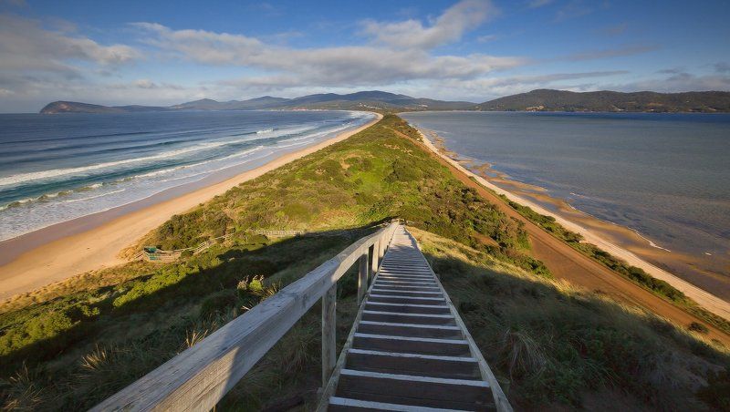 Bruny Island Tasmania Australia Прямо пойдешь - коня потеряешь, а налево - направо ... утоПНешьphoto preview