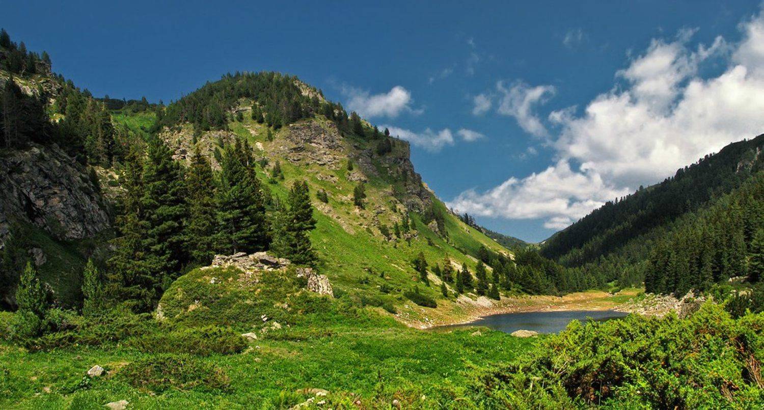 , Ирина Костова