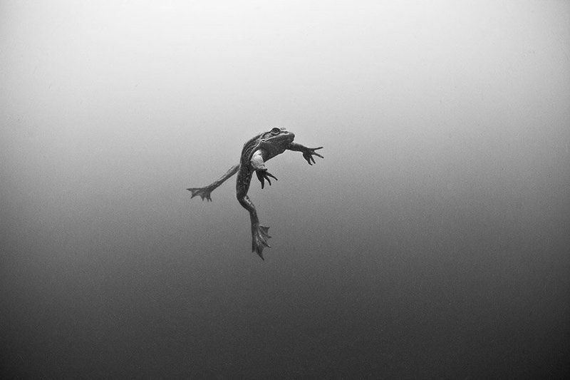 Девушка задумалась..)photo preview