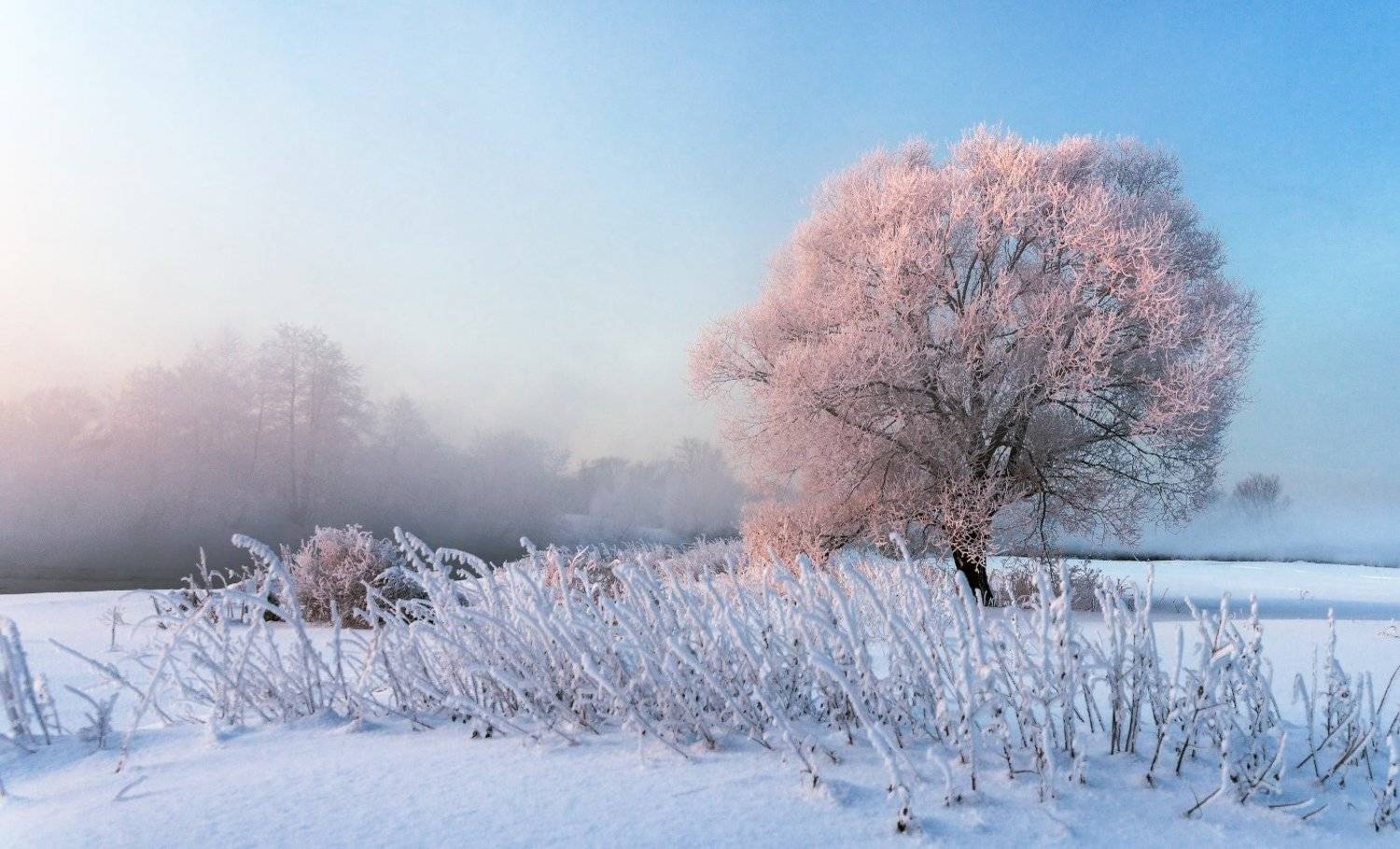 , Пеккер Сергей