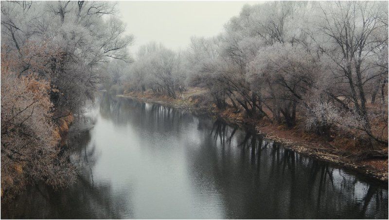 Посеребрило...photo preview