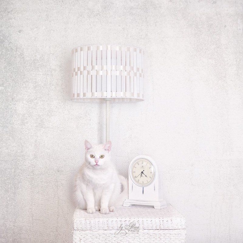 в ожидании...photo preview