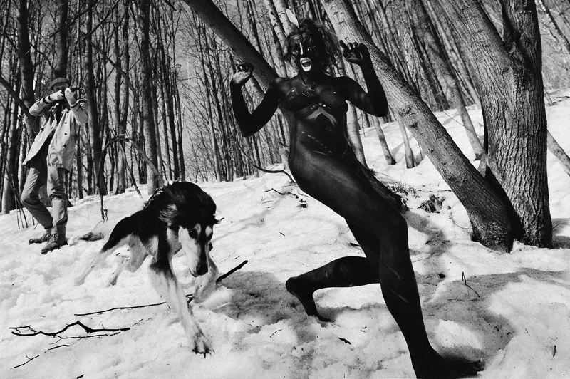 Голодные игрыphoto preview